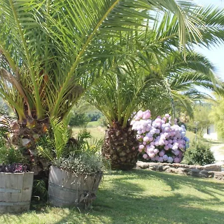 Caserio Barraca Homestay Irun